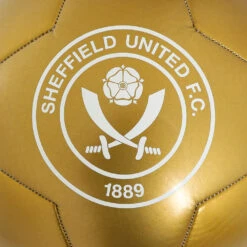 Metallic Gold Football